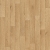 Линолеум полукомерческий Ideal Start Gold Oak 2459 (2.5/3/3.5/4м)